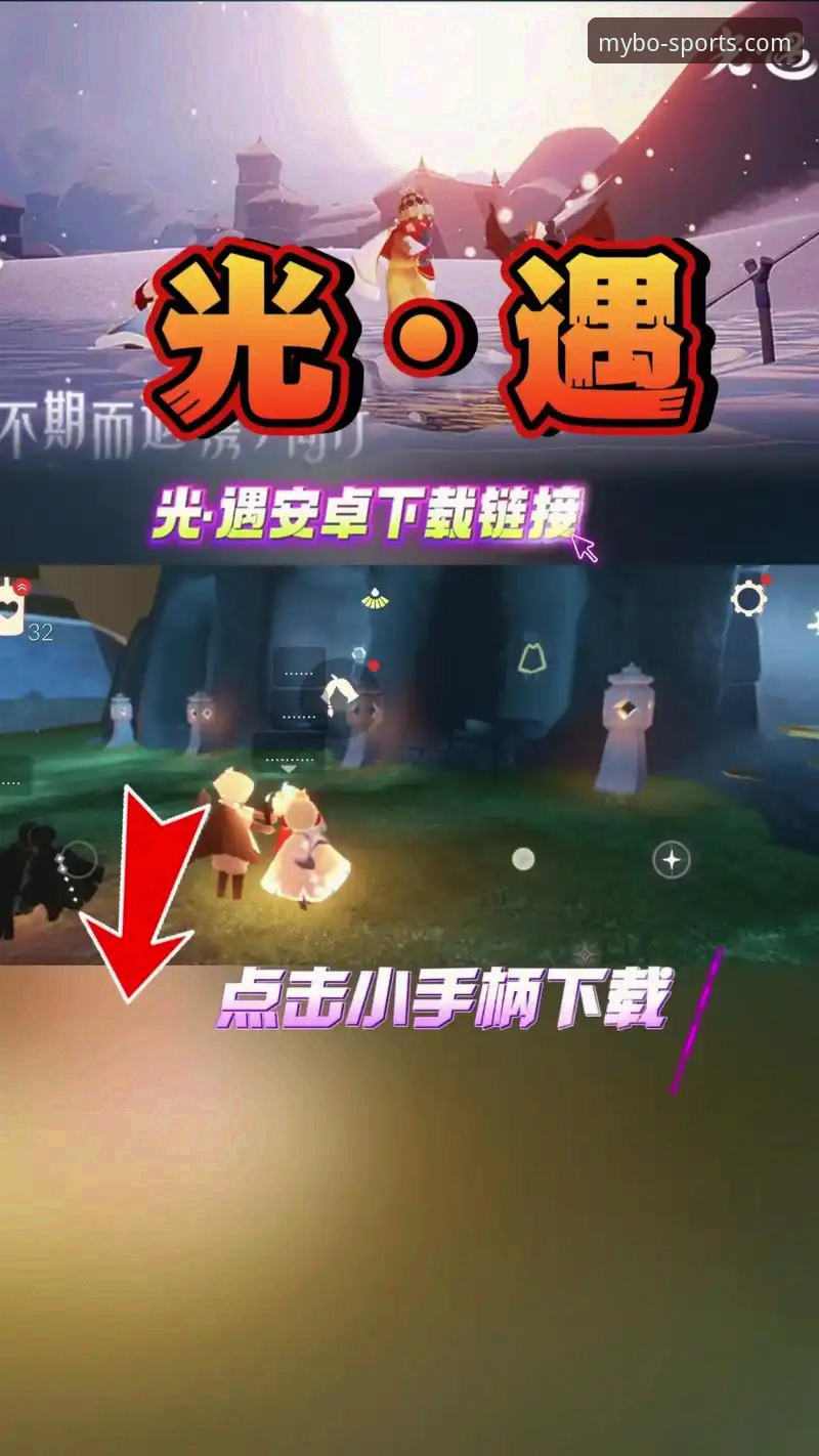 新手选择指南：迈博MYBO下载 vs 官方正版入口，哪个更适合你？