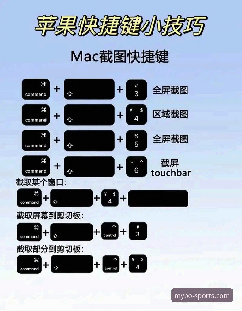 迈博平台入口怎么找？新手如何快速完成迈博MYBO下载？